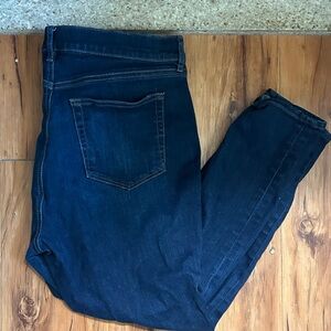 LOFT Dark Indigo Denim Pants